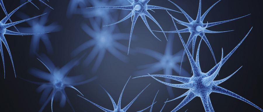 神经干细胞移植治疗多发性硬化