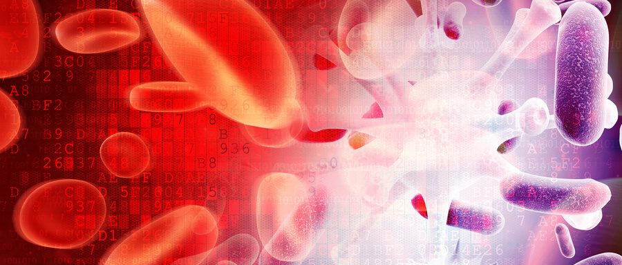 造血干细胞移植护理研究和发展趋势