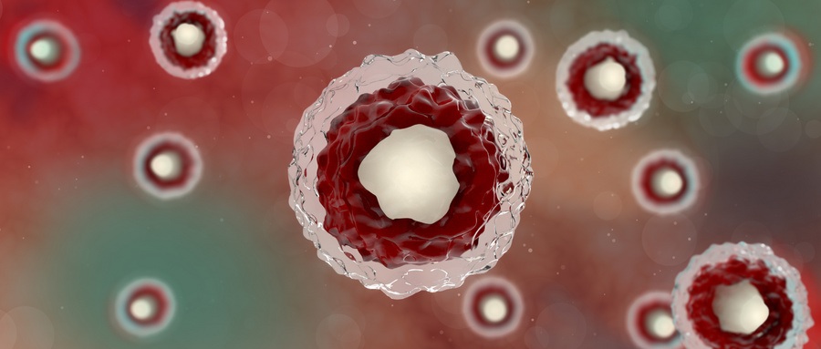 造血干细胞移植护理实践和进展