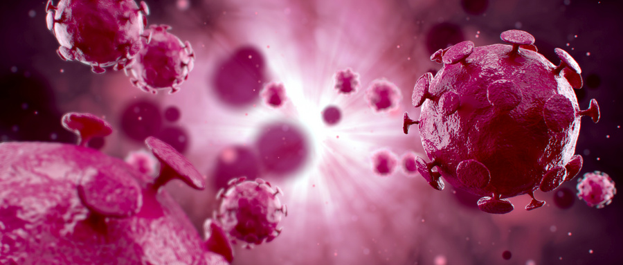 干细胞治疗人体寄生虫病的研究