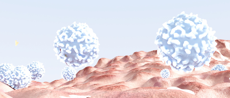 MSCs干细胞疗法治疗1型糖尿病的原理