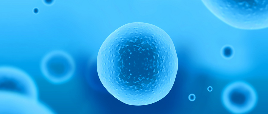 生物材料封装改善干细胞移植疗效