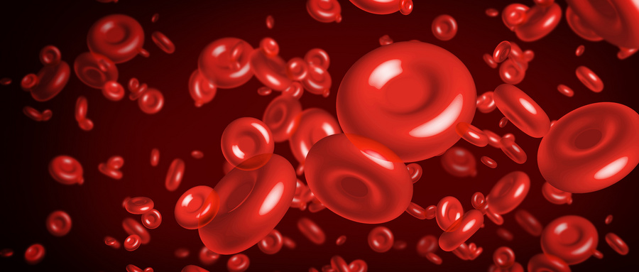 造血干细胞移植患者营养管理证据总结过程