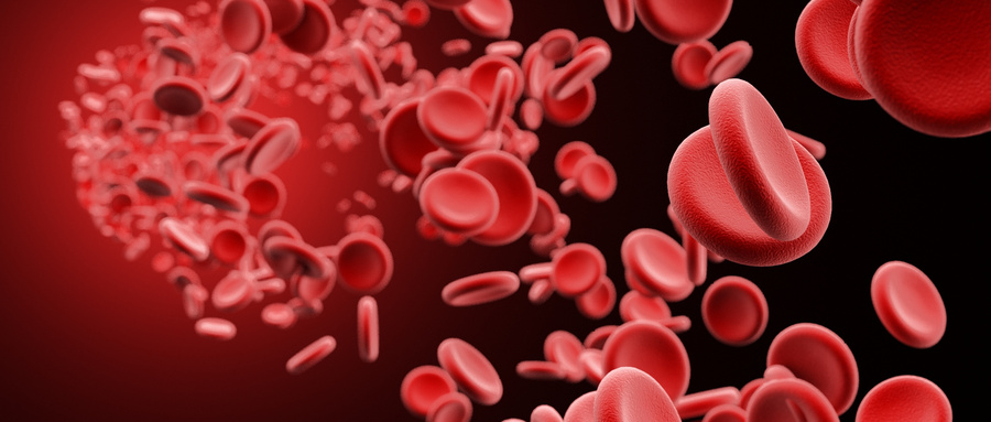 自体造血干细胞移植重建患者的正常造血和免疫功能