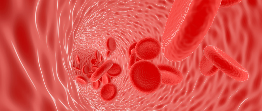 造血干细胞移植取得了极大的进展