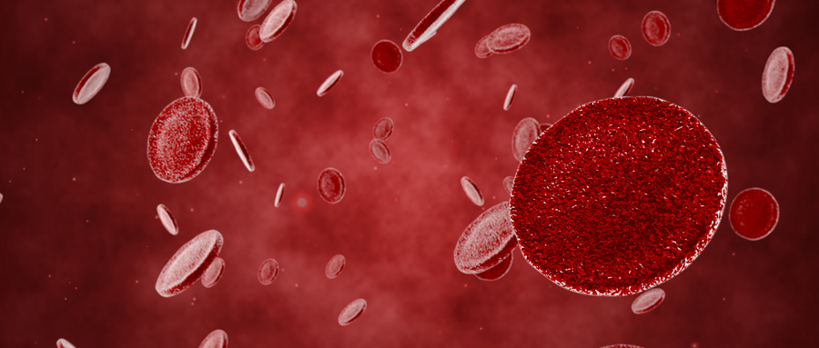 单倍体造血干细胞移植的应用
