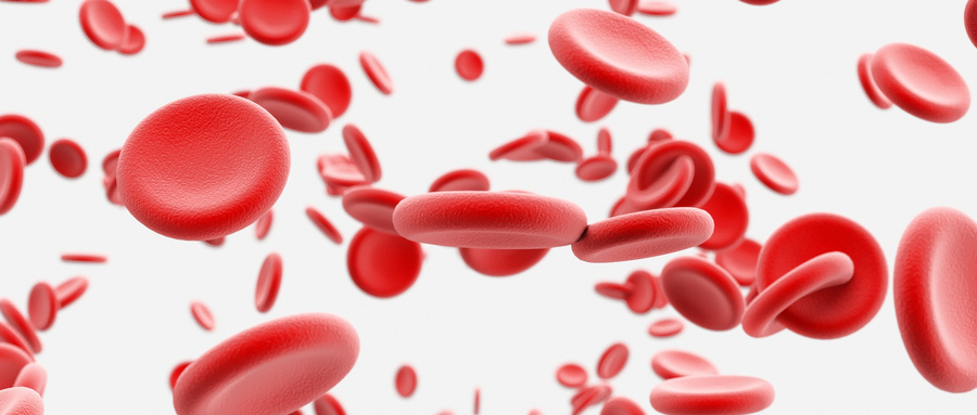 无关供者造血干细胞移植的预处理以及预防方案
