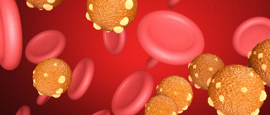 造血干细胞移植患者的有氧运动