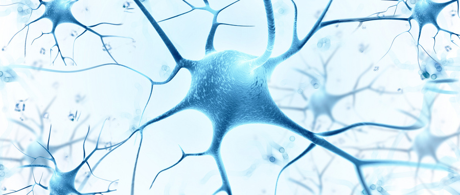 问：什么是神经干细胞？