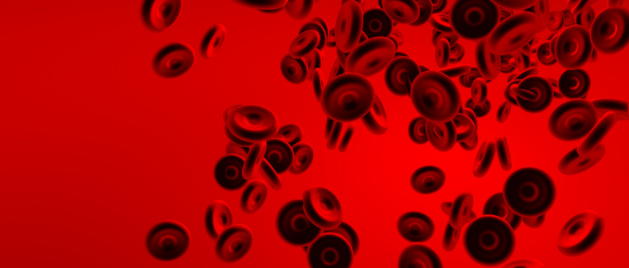 造血干细胞移植可以治疗哪些血液病