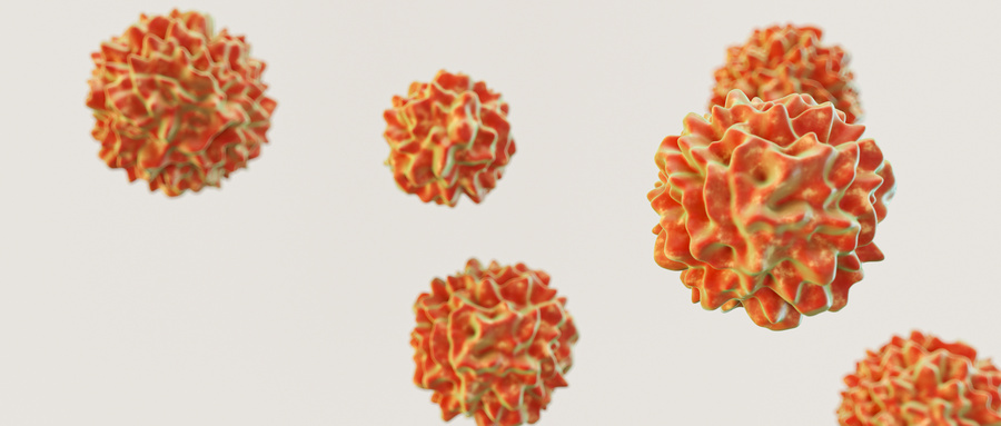 单细胞测序在肝脏疾病中的研究