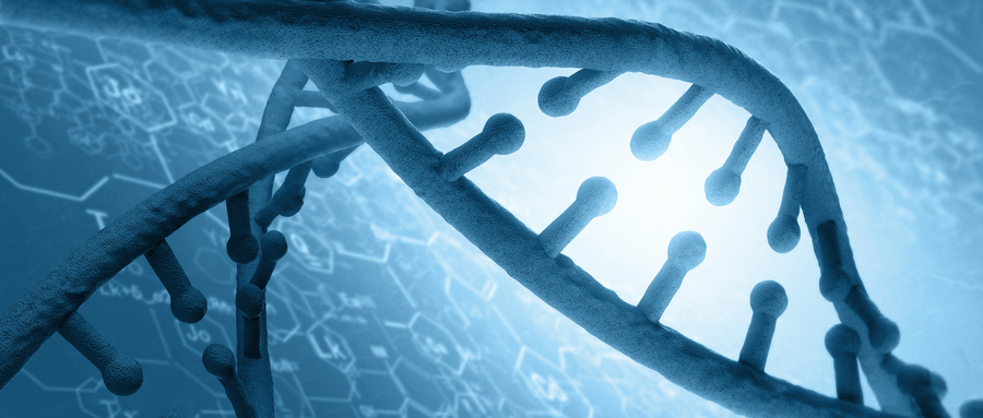 DNA或RNA序列扩增