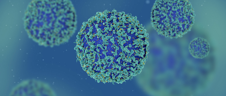 溶瘤病毒联合免疫细胞的研究