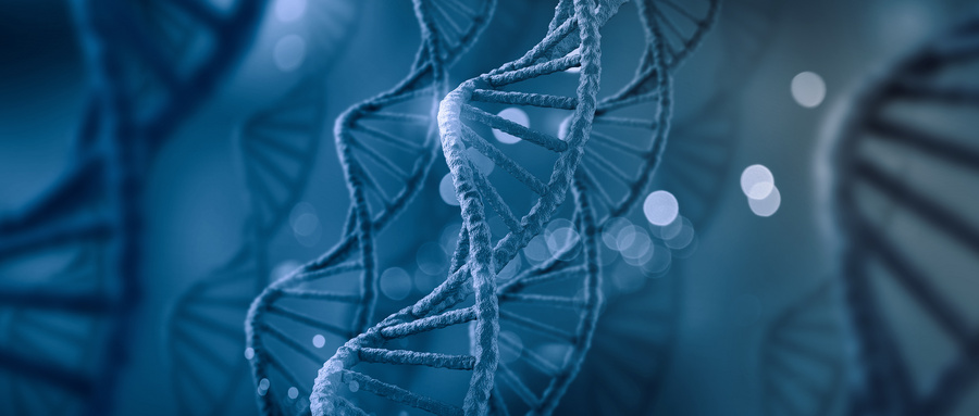 问：DNAzvme在抗HIV病毒的研究中效果怎样？