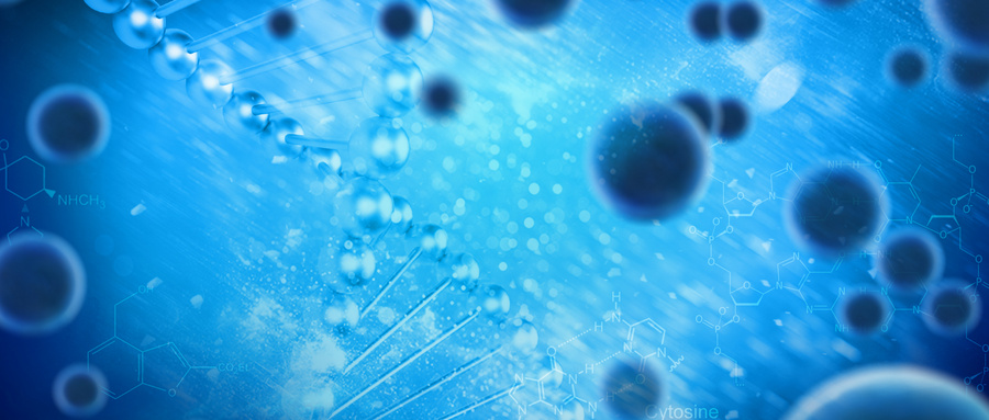 尿源干细胞的生物学特性