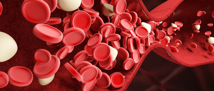 异基因造血干细胞移植是治疗血液病的重要方法