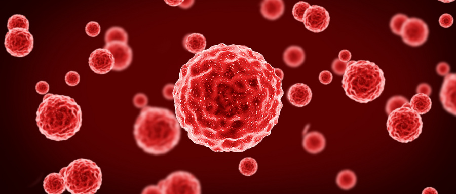 iPSCs分化与发育生物学信号通路的调控