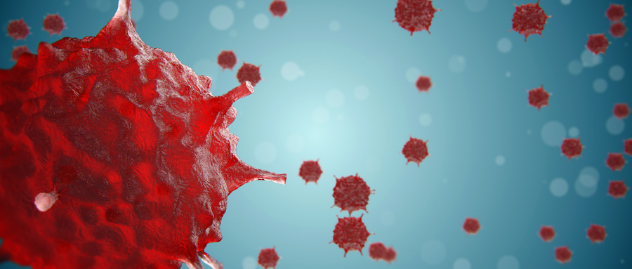 白细胞介素17发挥抗肿瘤免疫作用