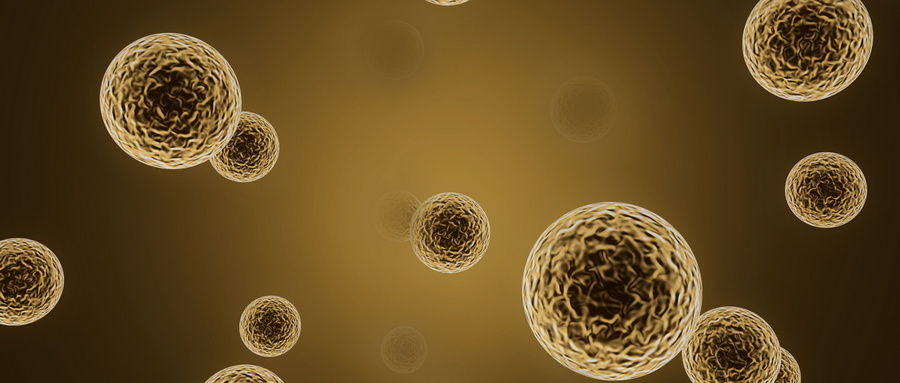干细胞外泌体在年龄相关疾病中的作用