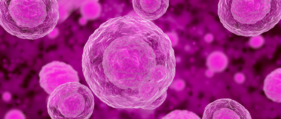 m6A在干细胞的免疫调节方面起着重要的作用