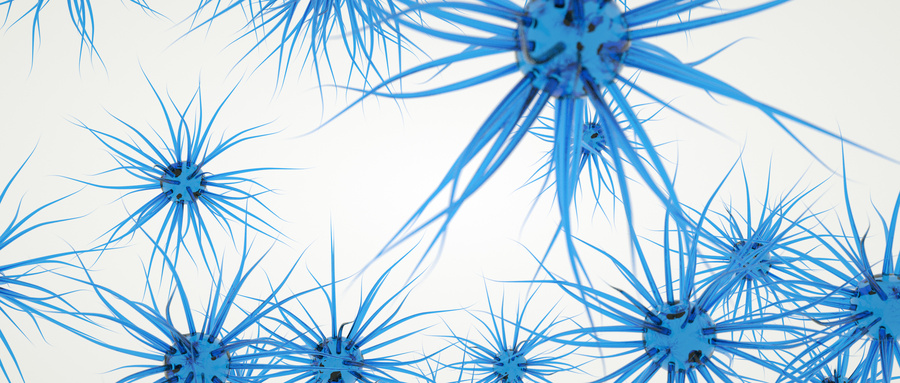 MSCs的生物学特性和机制