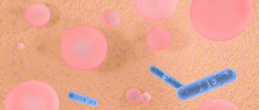 间充质干细胞具有分化成多种组织细胞的能力