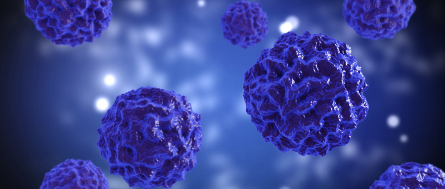 SOX2、OCT4是维持肿瘤干细胞特性的关键因子之一