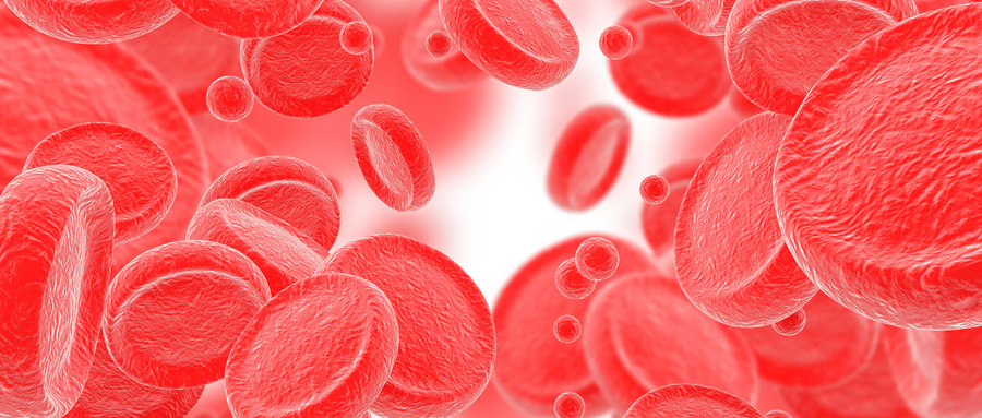 经血来源干细胞的研究进展