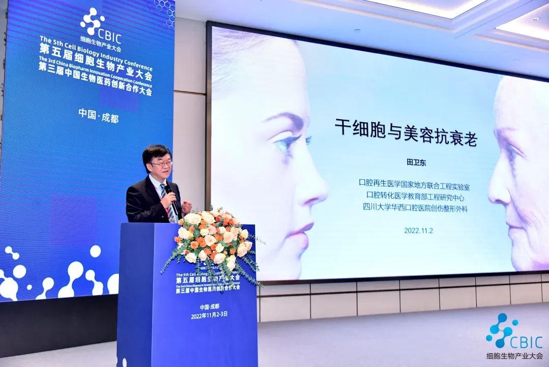 图片10