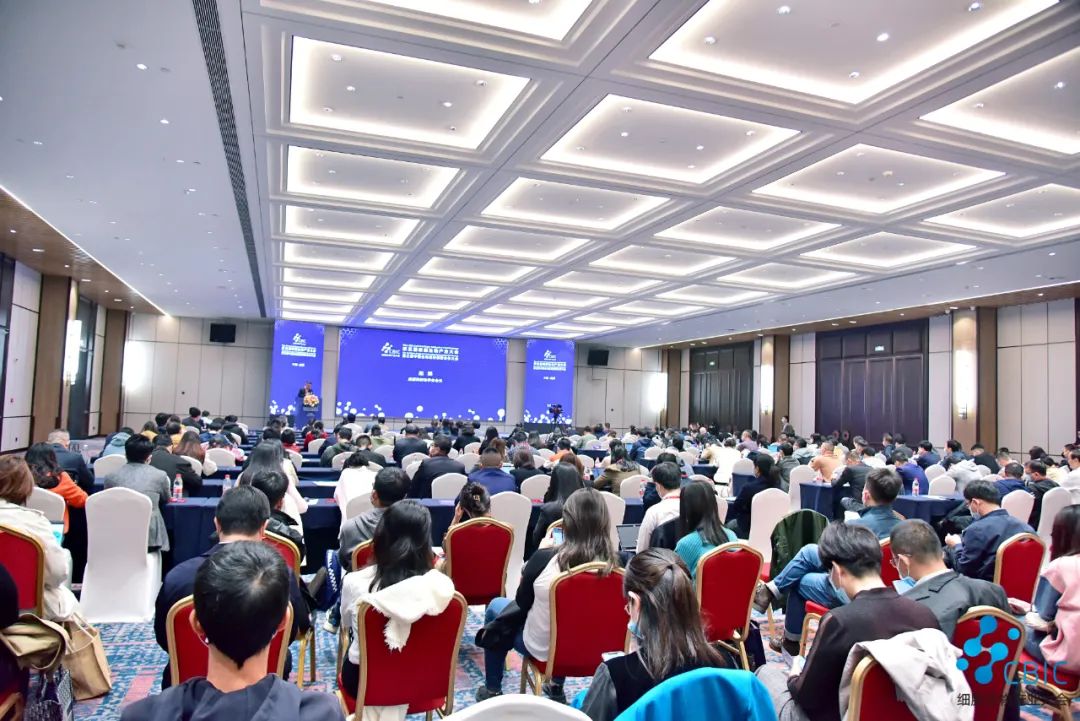 图片10