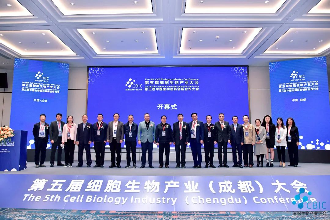 图片10
