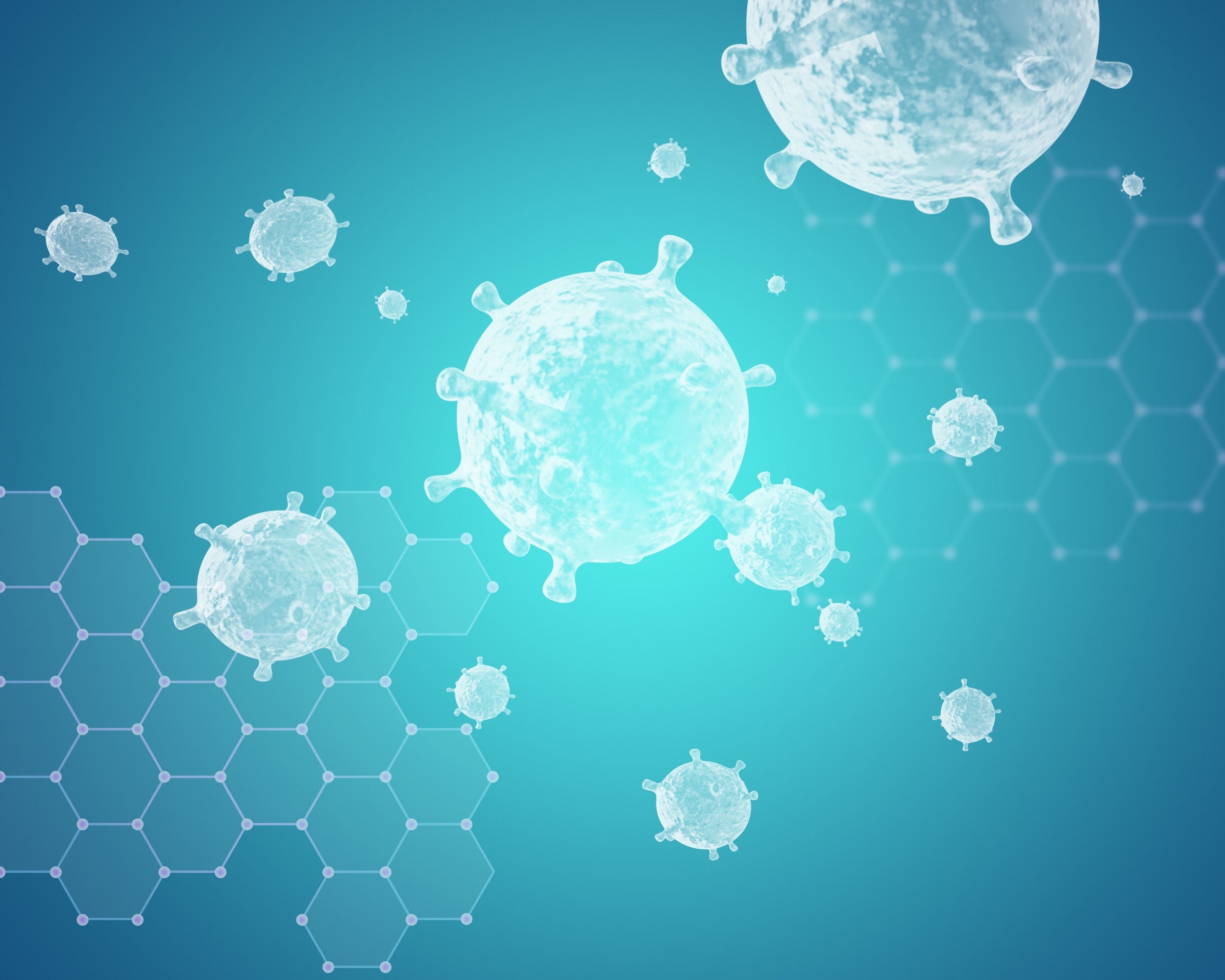 库普弗细胞的吞噬功能可诱导免疫耐受