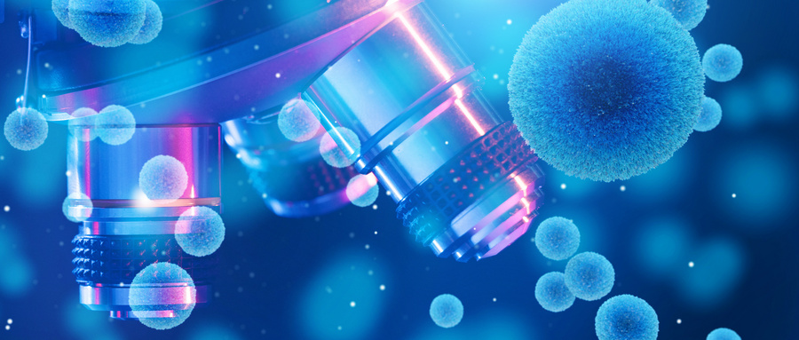 间充质干细胞通过多种信号通路促进前列腺癌进展