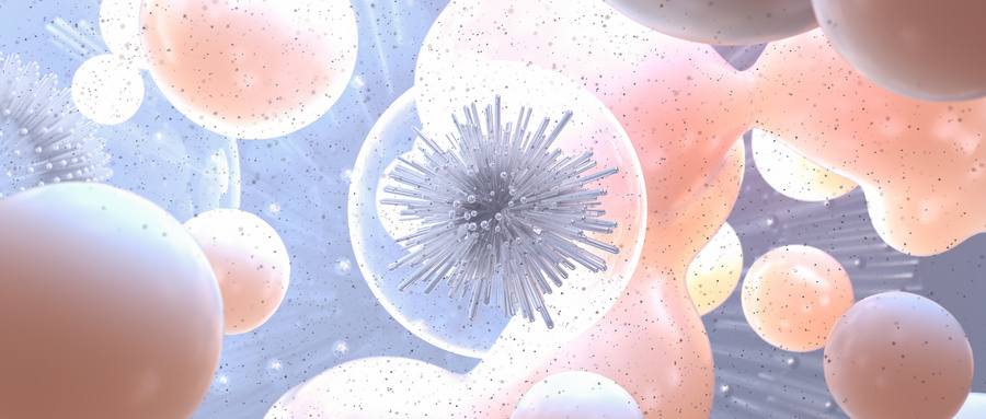 间充质干细胞通过信号通路促进前列腺癌细胞的增殖