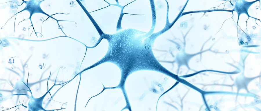 合成生物学的生命科学内涵
