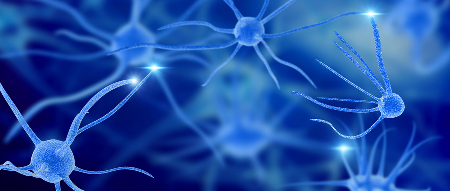 生长因子在神经组织的修复中发挥着重要作用