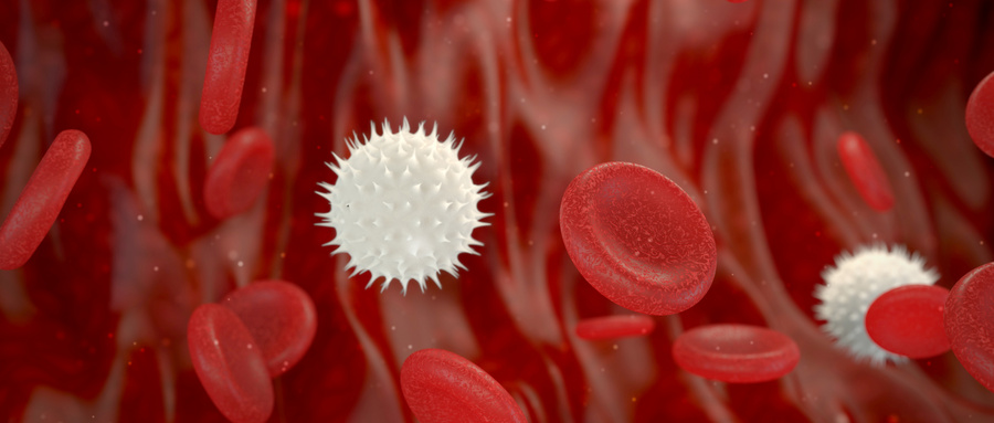 造血干细胞移植后最常报告的康复计划需求