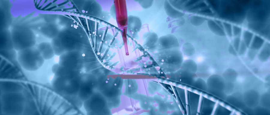 细胞行为特性接近于生物体内的生存状态