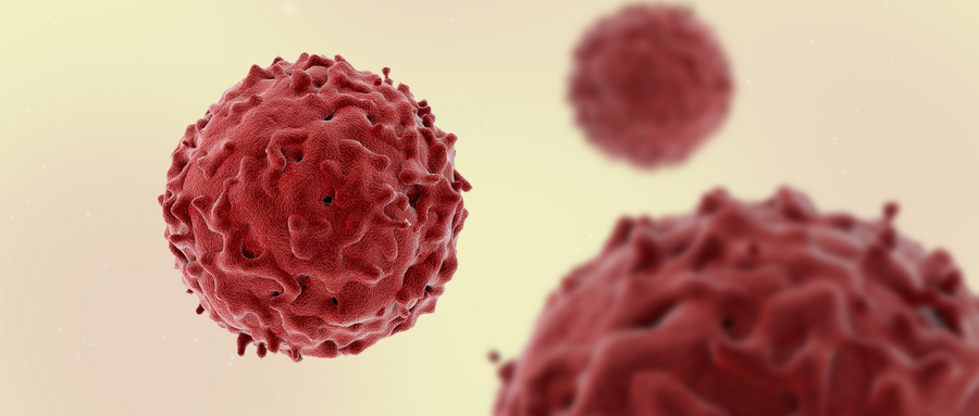 红细胞膜仿生纳米粒递药系统的构建