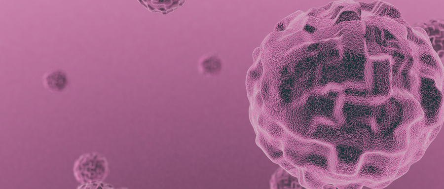 细胞癌变主要发生在利用PSC分化ENCC的过程中