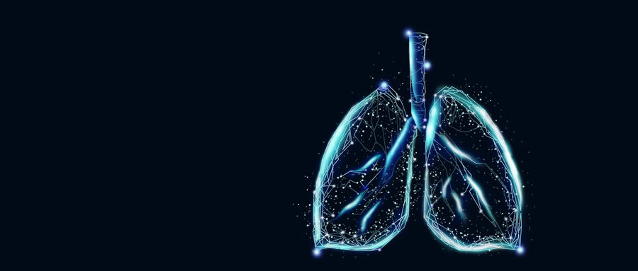 类器官研究的监管现状及监管风险
