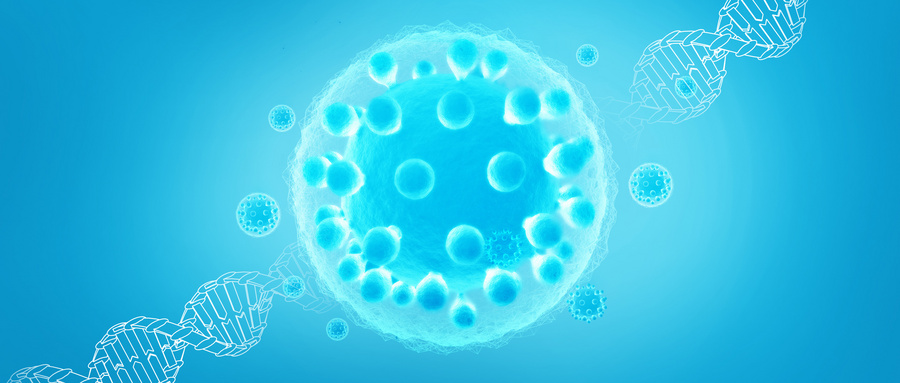 间充质干细胞来源于胚胎发育早期的中胚层