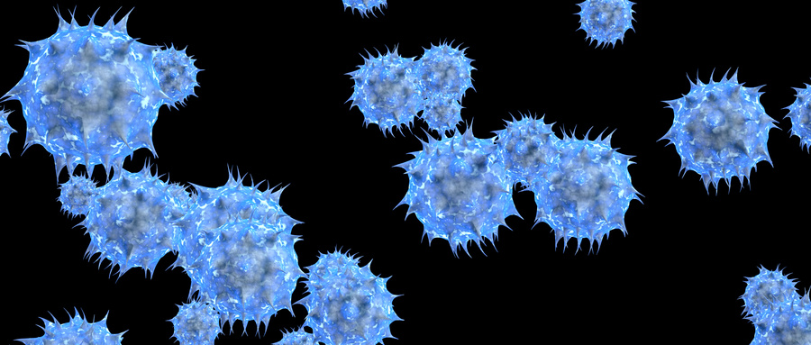 不同亚群的T细胞都有着极为重要的作用