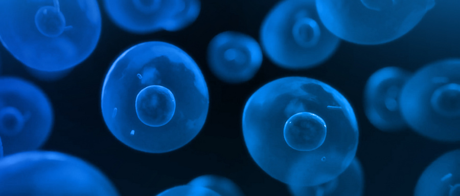 单细胞转录组测序在口腔间充质干细胞的初步应用