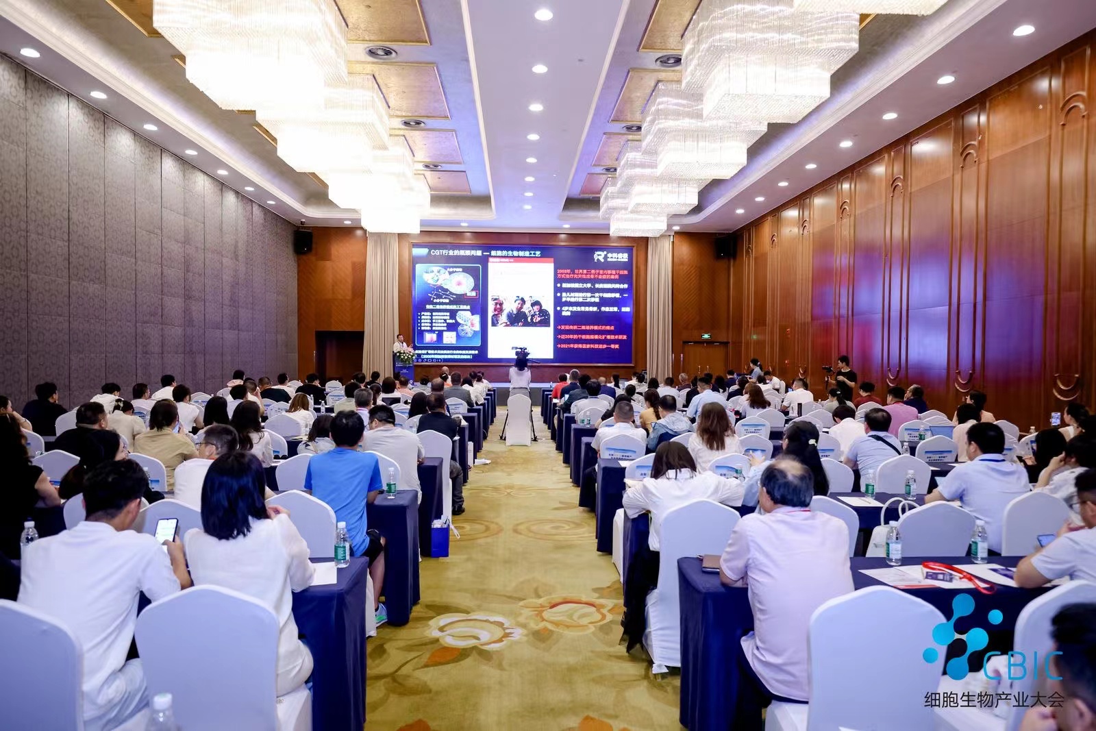 图片10