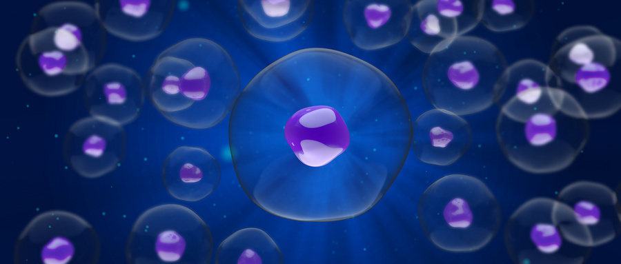 CD44是一种在乳腺癌细胞中高表达的分子