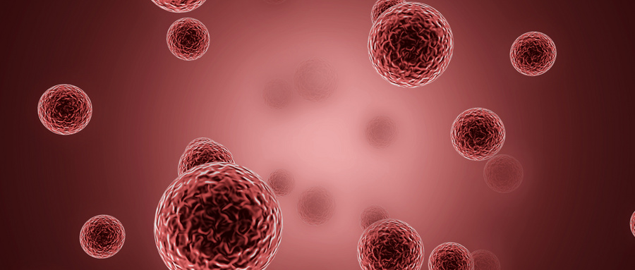 问：什么是MSCs？