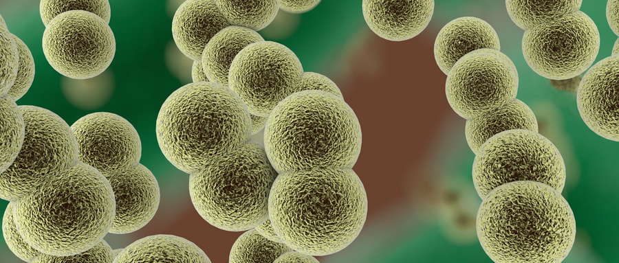 信号分子促进肿瘤干细胞的生长和自我更新