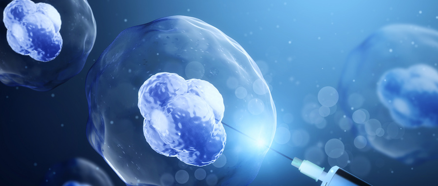 BMP1是miR-29b-3p的靶向mRNA