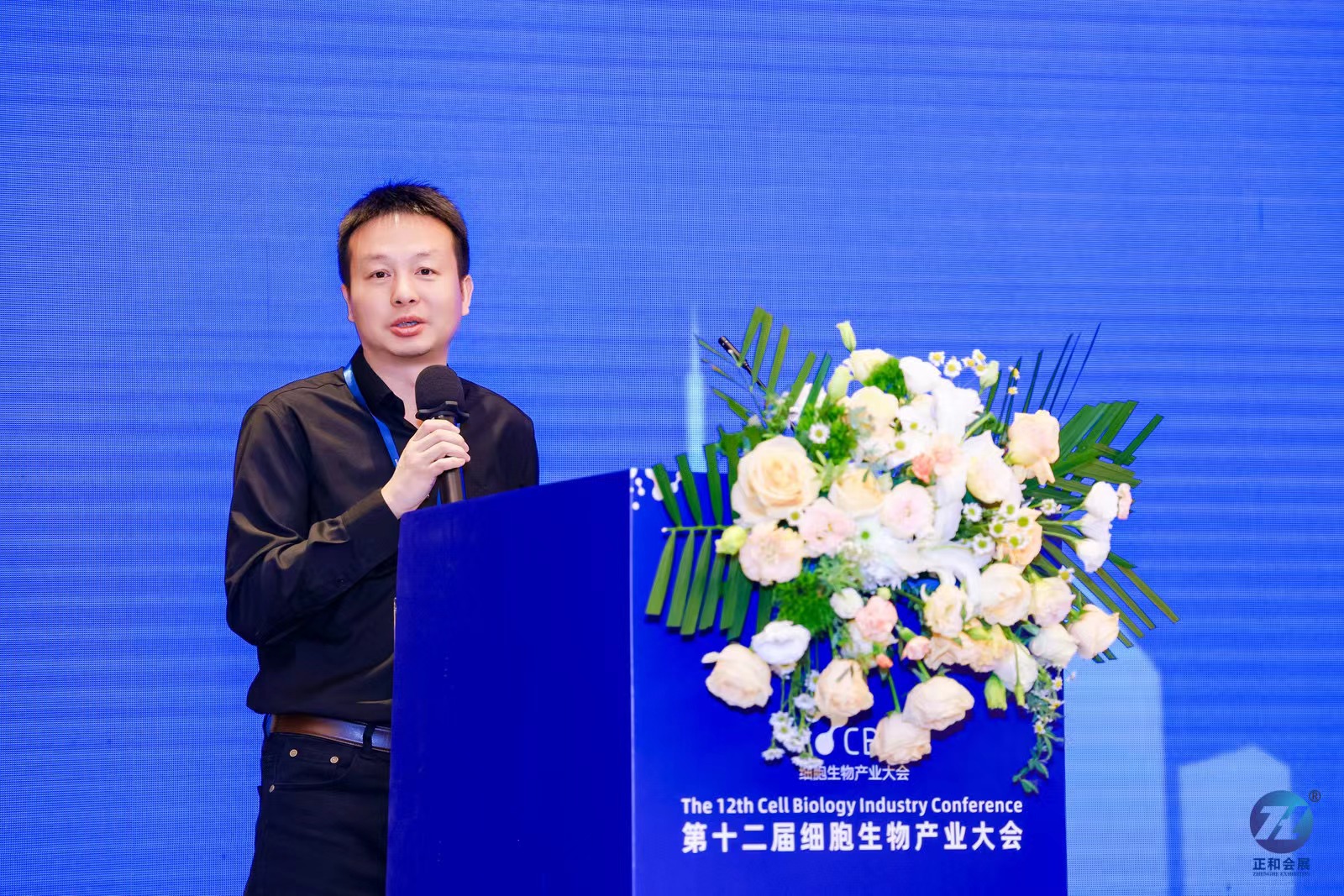 图片10